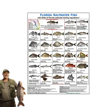Floridas Jūras Zivis Kartes, Magnētiskās Kartes Ar Zivju Sugu Rokasgrāmata Noteikt Florida Ūdeņos Noteikumi Karti Zvejas Entuziasti