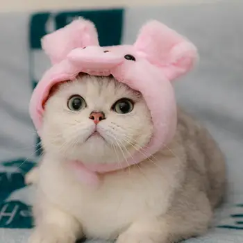 Kaķis Hat Glītu Cūku Modelēšana Rozā Krāsu Kaķēns, Kucēns, Cepures Mīksta Elpojošs Dekoratīvās Kaķi Suņi Cosplay Cepuri Pet Piegādēm