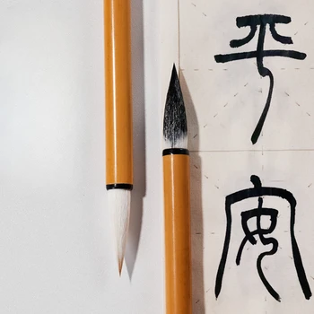 Profesionālās Zīmogs Script, Brush Pen Iesācēja Oficiālais Skriptu, Kaligrāfija Pildspalvu Ķīnas Vairākas Matu Sukas Krāsošanas Otas Zīmēšanai